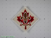 Click to enlarge Scouts